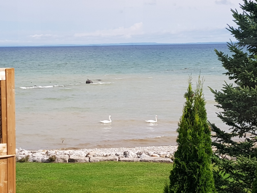 Wasaga Beach Derp’s Discoveries